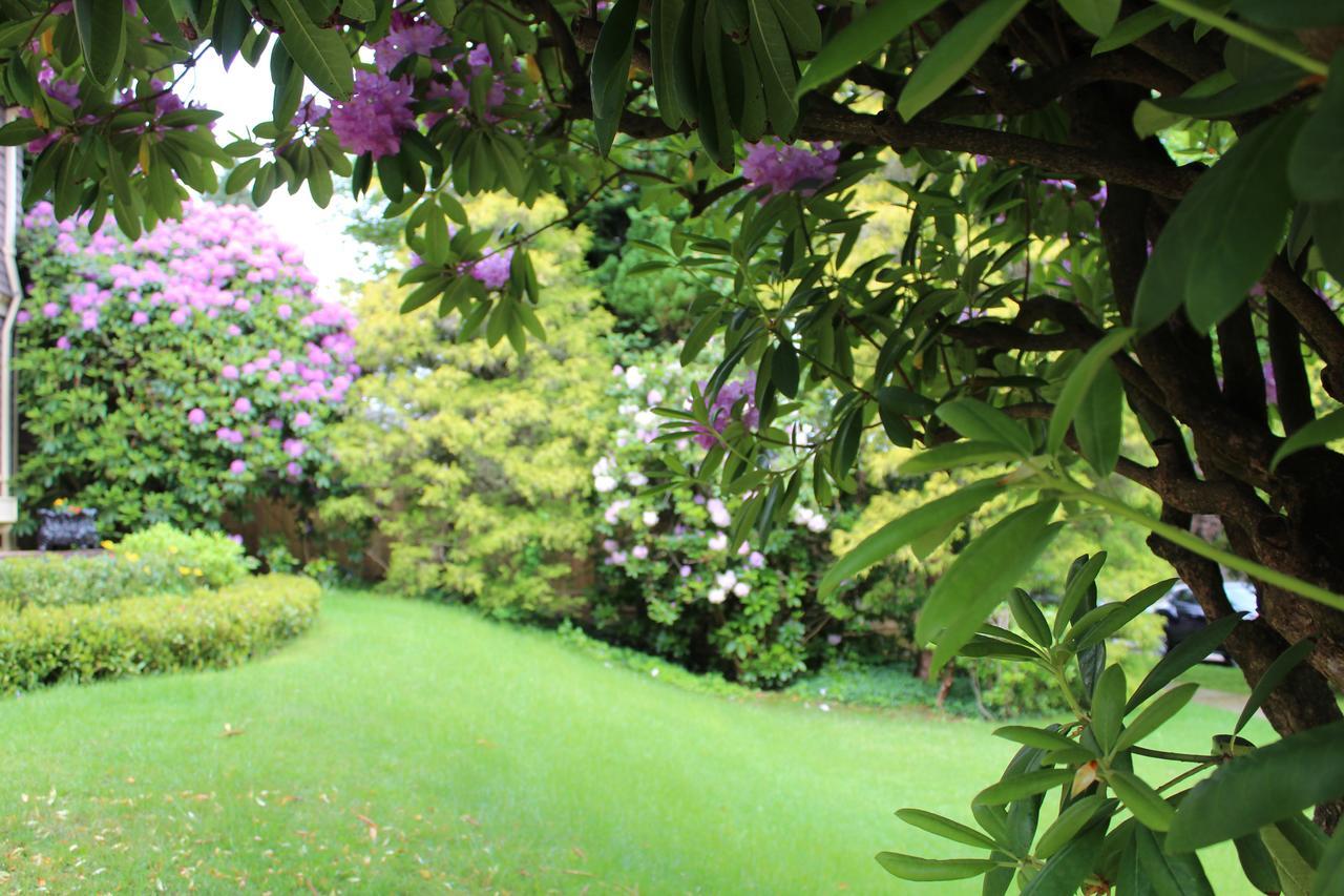 Cartier Guest House Vancouver Bagian luar foto