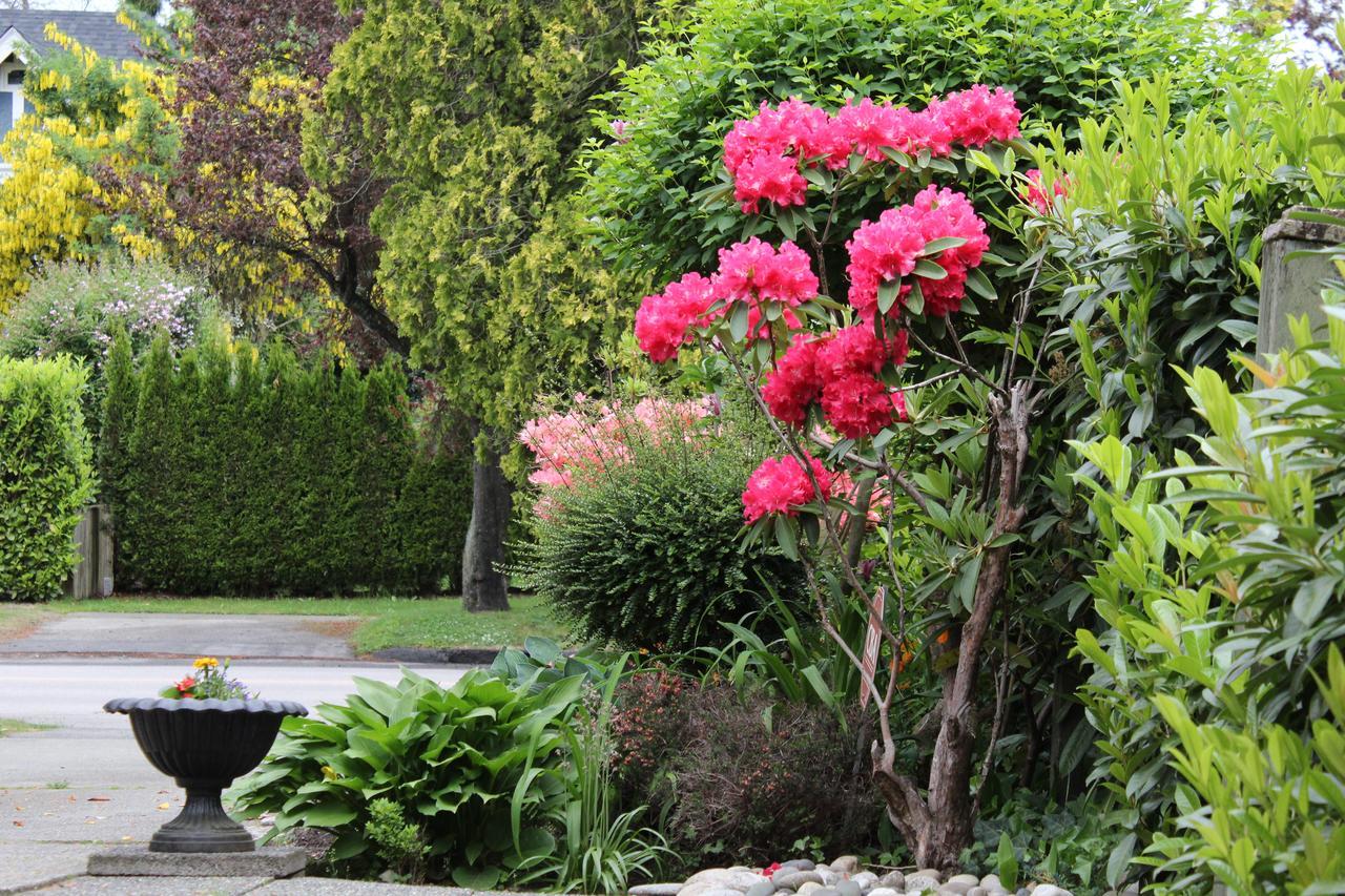 Cartier Guest House Vancouver Bagian luar foto