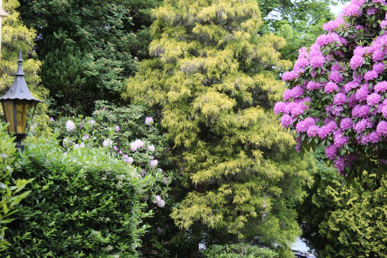 Cartier Guest House Vancouver Bagian luar foto